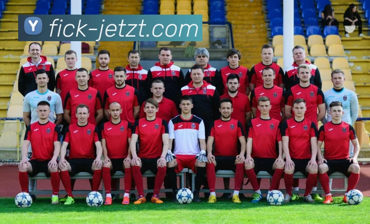 8868体育官网登录方法平台生态图